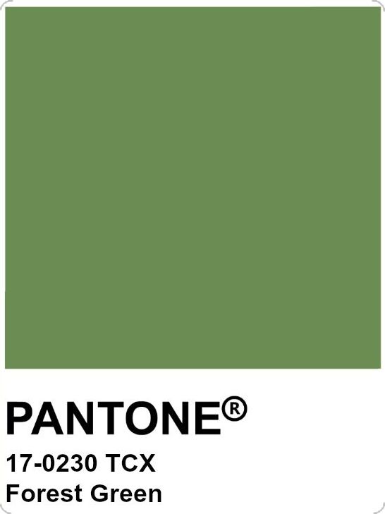 pantone's forest green color is shown with the words pantone on it