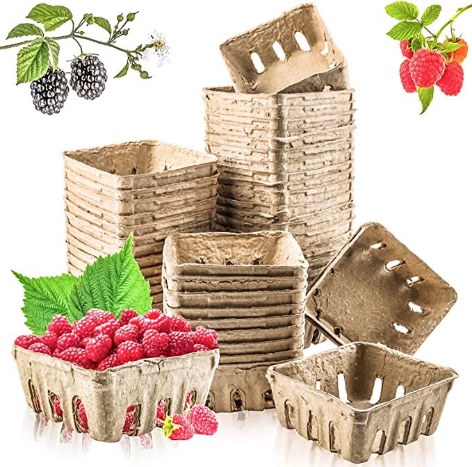 raspberries and other fruit in baskets on a white background