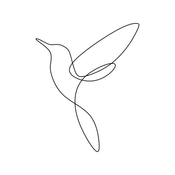 a single line drawing of a hummingbird