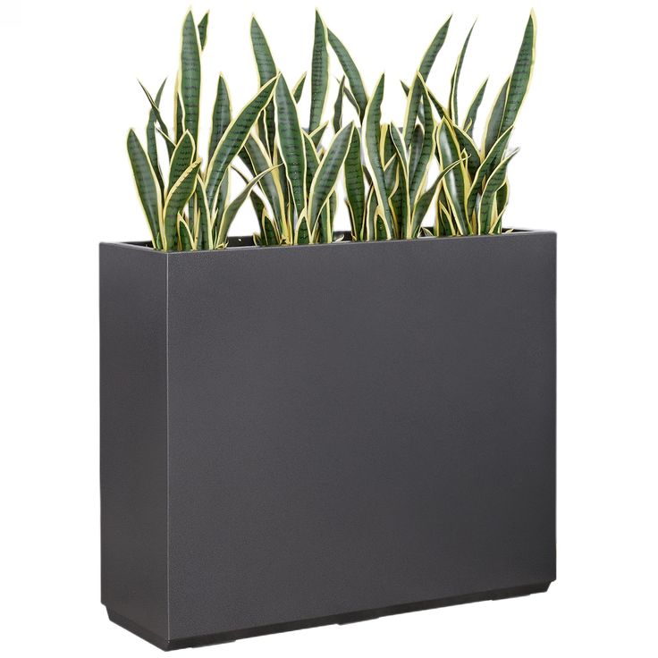 PRICES MAY VARY. 【Metal Plant Box】The surface of this planter box is coated with outdoor special baking paint, which uses an advanced powder method to give it an elegant metallic color and unique texture. It is manufactured from completely seam-welded, strong galvanized steel. 【Versatile Divider Design】Elevate your garden or outdoor space with this sleek, long rectangular planter. Its robust build not only enhances garden aesthetics but also serves as an elegant privacy divider for decks, patios Rectangular Planters Indoor, Rectangular Planters Outdoor, Indoor Planter Box, Metal Divider, Privacy Divider, Gray Patio, Garden Aesthetics, Rectangle Planters, Privacy Plants