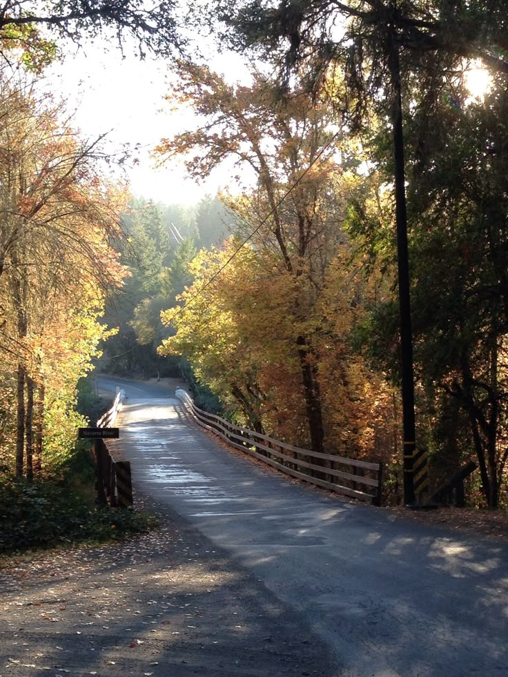 an empty road surrounded by trees in the fall