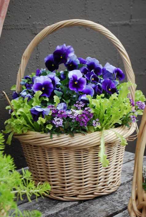 a basket filled with purple pansies sitting on top of a wooden table