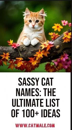 an orange and white cat sitting on top of a tree branch with the caption sassy cat names the ultimate list of 100 + ideas