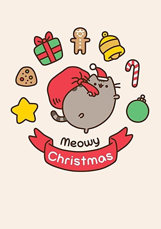 a cat with a santa hat and christmas decorations around it's neck that says meow christmas