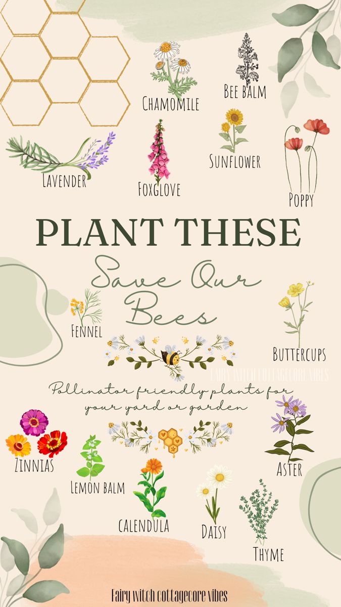 an illustrated poster with flowers and plants on it's sides, including the words plant these