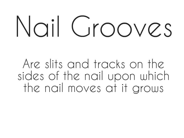 State Board Nail Tech, Cosmetology Notes, Cosmetology State Board Exam, Cosmetology State Board, Nail Structure, Hair Salon Stations, Beauty School Cosmetology, Fingernail Health, Nail Tech School