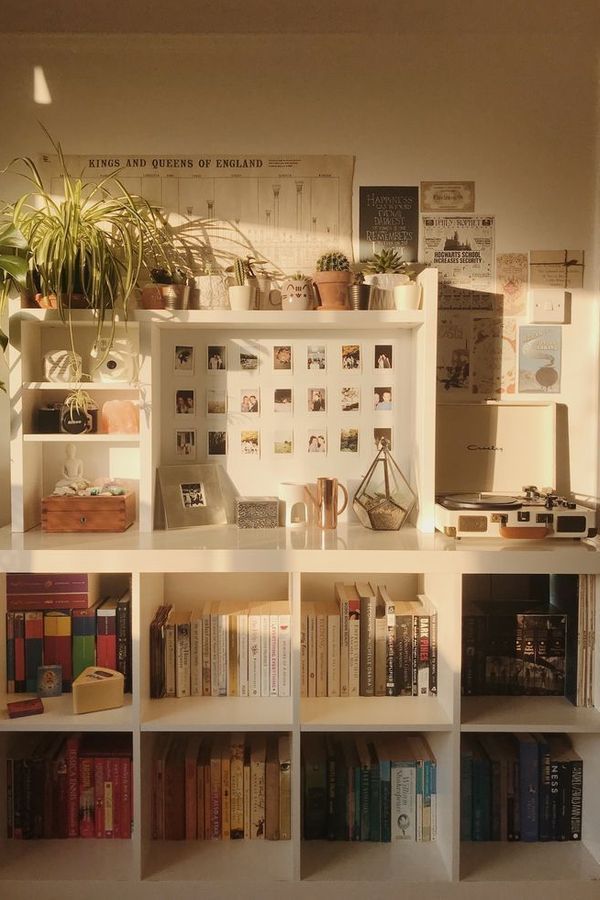 the shelves are filled with books and plants