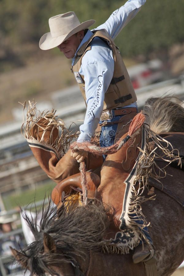 a man riding on the back of a brown horse