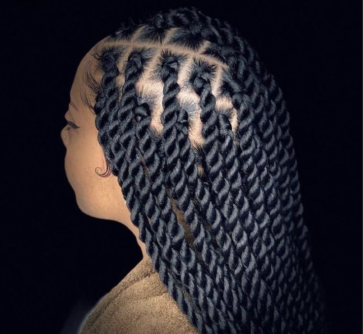 Twist Braids Hairstyles Senegalese, Passion Twists Braids, Long Twist Braids, Twist Braids Hairstyles, Senegalese Twist Crochet Hair, Marley Twist Hairstyles, Twists Braids, Senegalese Twist Braids, Senegalese Twist Hairstyles