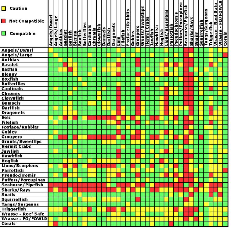 a chart with different colors and numbers on it