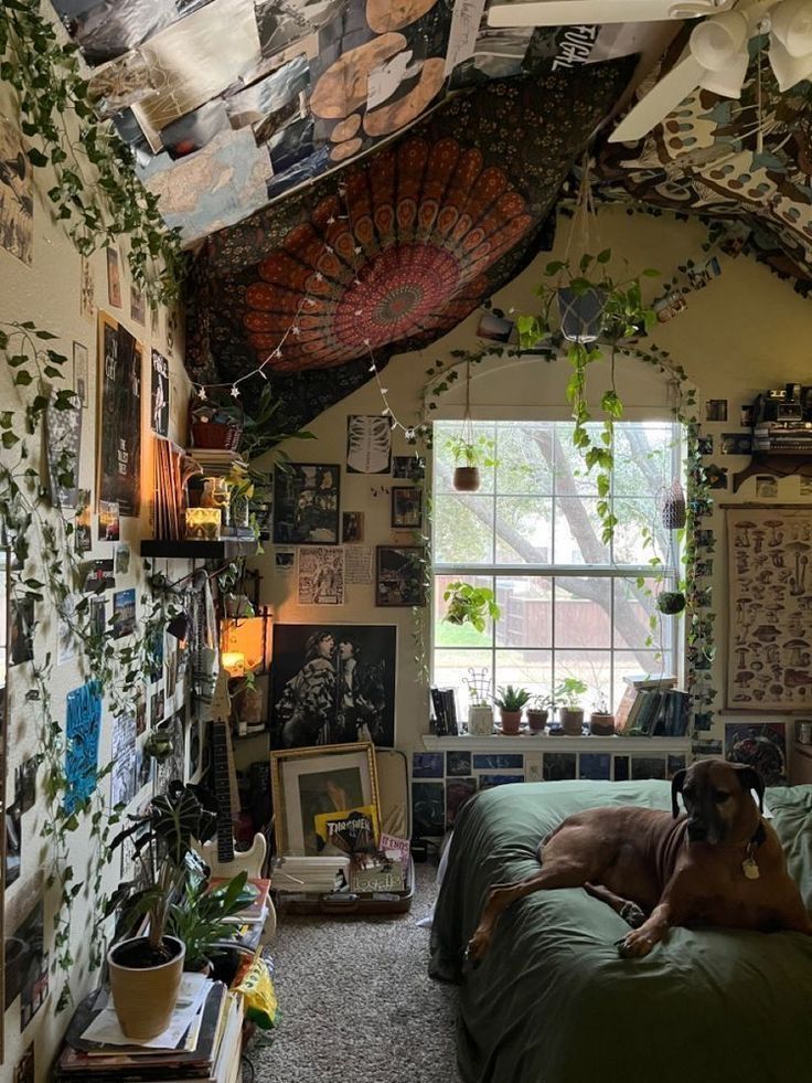 a dog laying on top of a bed in a room with many pictures and plants