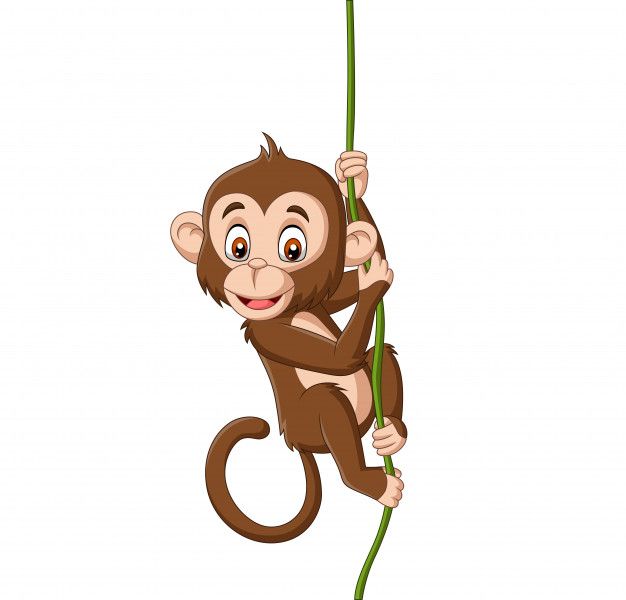 a monkey hanging on a tree branch with a green stalk in its hand and smiling