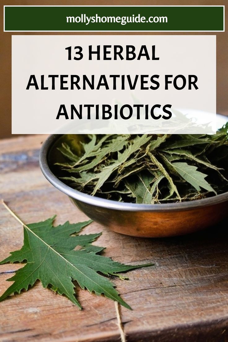 Explore the power of herbal medicine with these natural infection fighters. Discover the best natural antibiotics that Mother Nature has to offer. Whether you're looking for herbs that heal or antibiotic plants you can grow in your garden, this collection of herbal antibiotics is full of healing potential. From magical herbs to healing spices, find herbal alternatives to antibiotics and learn how to incorporate natural antibiotics in your kitchen. Unlock the secrets of herbal medicine recipes an Natural Homemade Antibiotics, Herbs With Antibiotic Properties, Herbal Antibiotics Natural Remedies, Herbal Remedies For Pneumonia, Herbal Healing Medicine, How To Use Herbs For Medicine, Medicine Herb Garden, Apothecary Recipes Herbal Medicine, Healing Herbs Medicine Natural Remedies