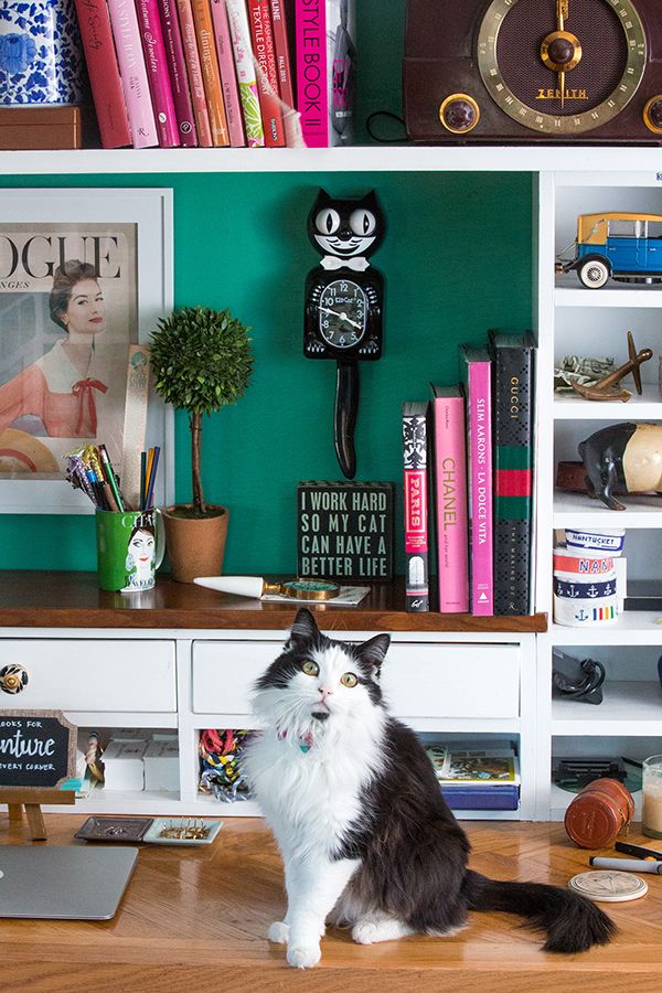 a black and white cat sitting on top of a wooden table next to a book shelf