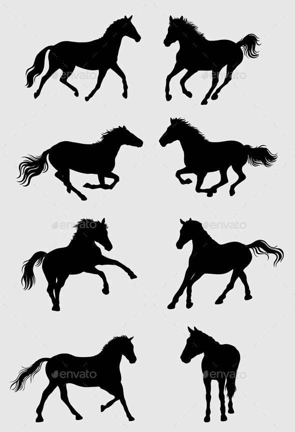 silhouettes of horses running in different directions