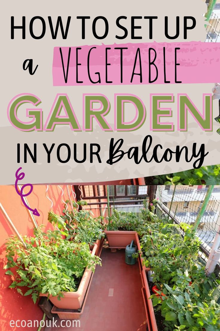 a balcony garden with plants growing in it and the words how to set up a vegetable garden in your balcony