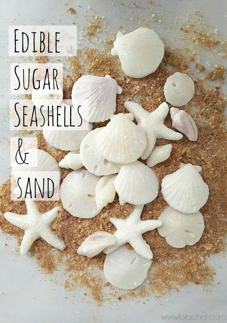 edible sugar seashells and sand on a white plate with the words edible sugar seashells and sand