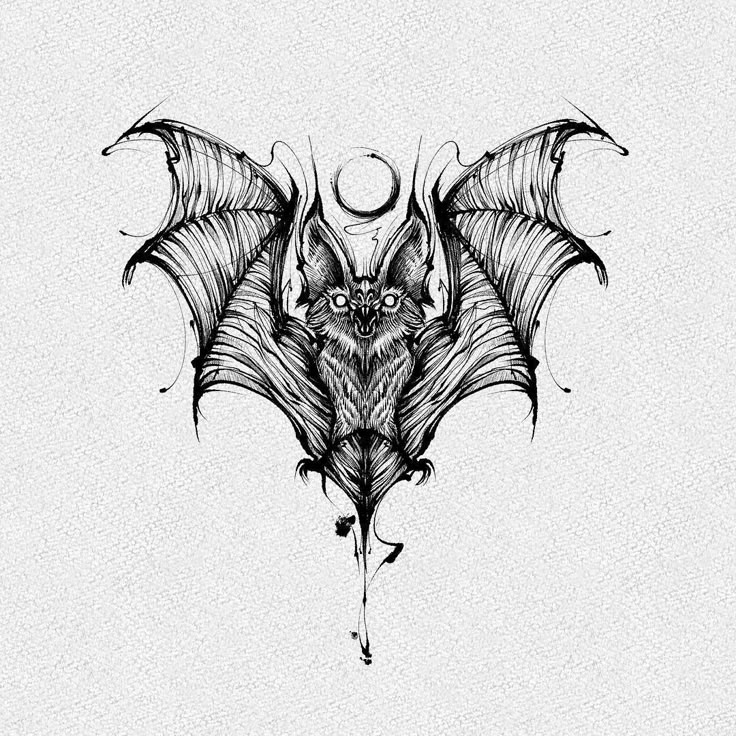 a black and white drawing of a bat with large wings on it's back