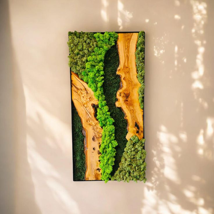 an aerial view of a road surrounded by trees and grass in the sun on a white wall