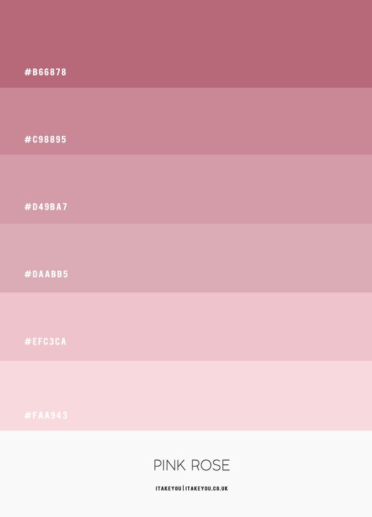 the pink rose color scheme is shown in three different shades