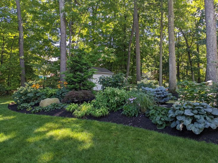 a garden with lots of plants and trees in the back yard, surrounded by lush green grass