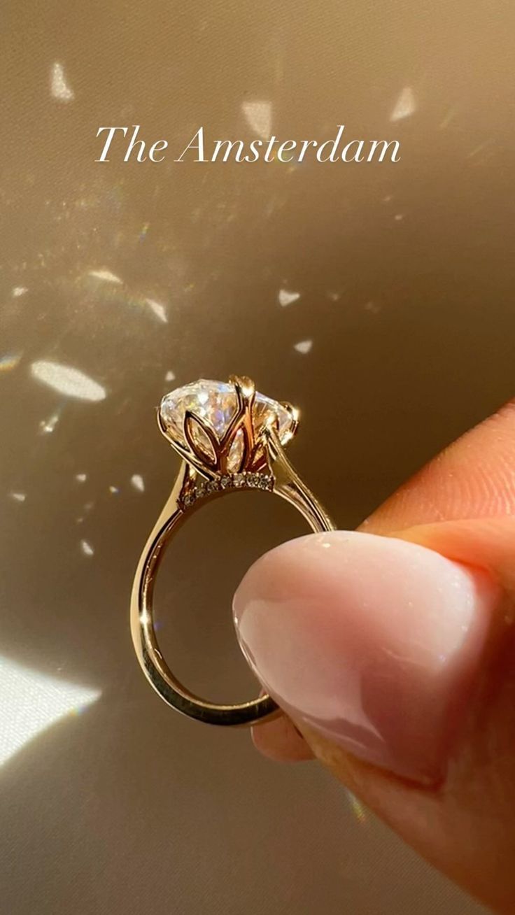 a person holding an engagement ring in their left hand with the words, the amsterdam on it