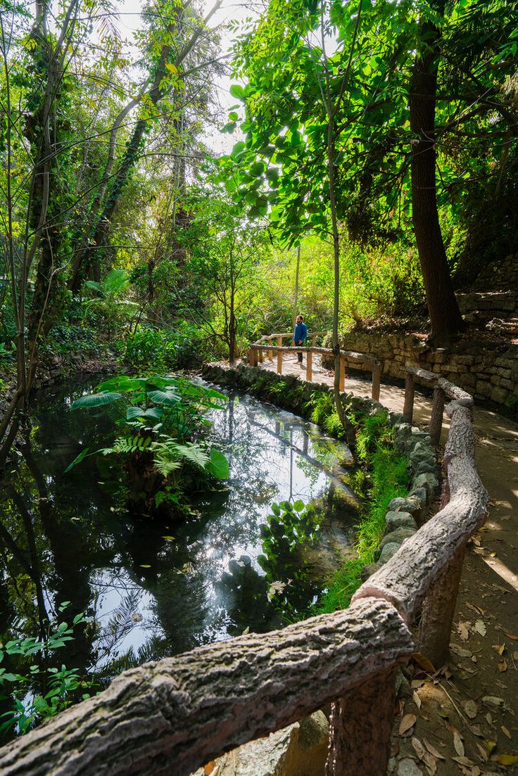 a man walking down a path next to a forest filled with trees and plants on the side of a river