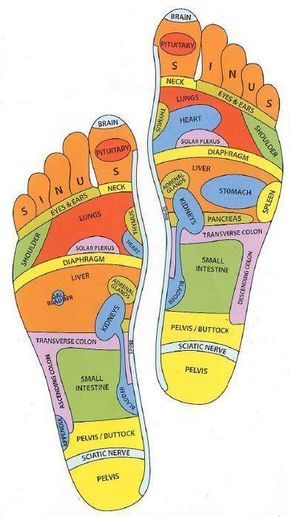 Reflexology Foot Chart, Foot Reflexology Massage, Therapy Techniques, Reflexology Chart, Reflexology Massage, Foot Reflexology, Healing Touch, Acupressure Points, Sleep Schedule