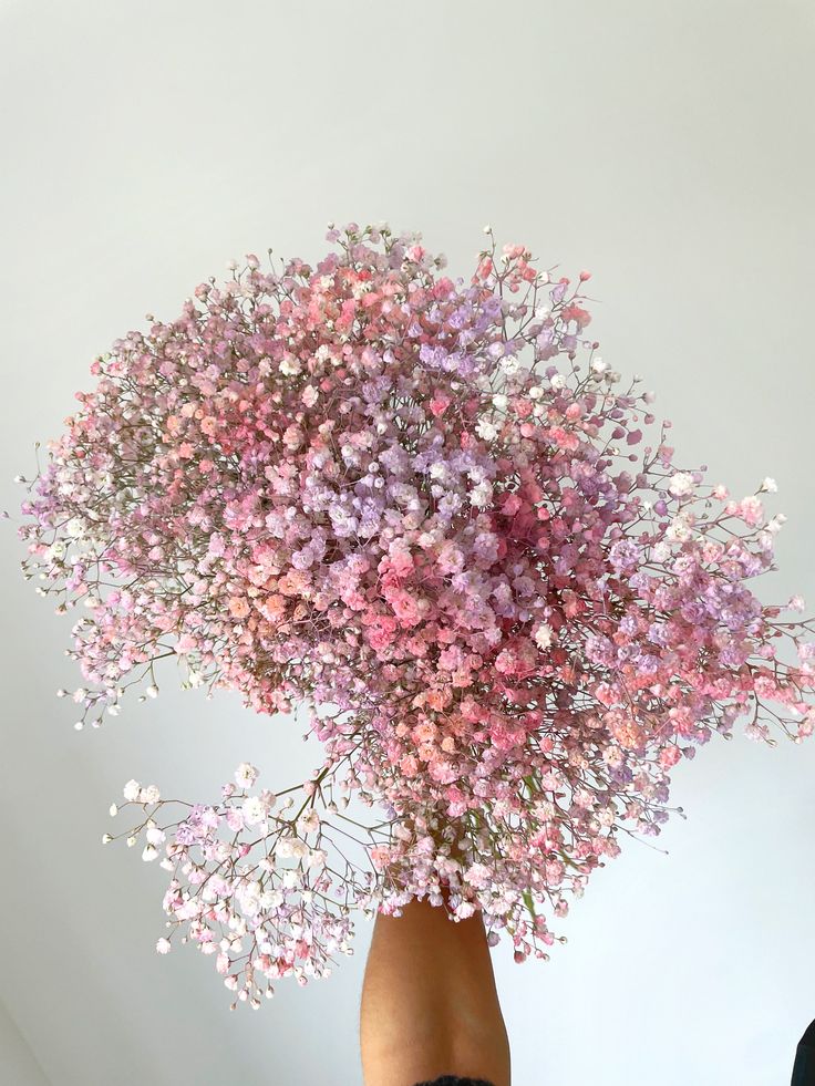 a hand holding a bunch of pink and white flowers