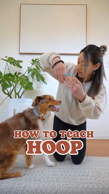 a woman brushing her dog's teeth with the caption how to teach hoop