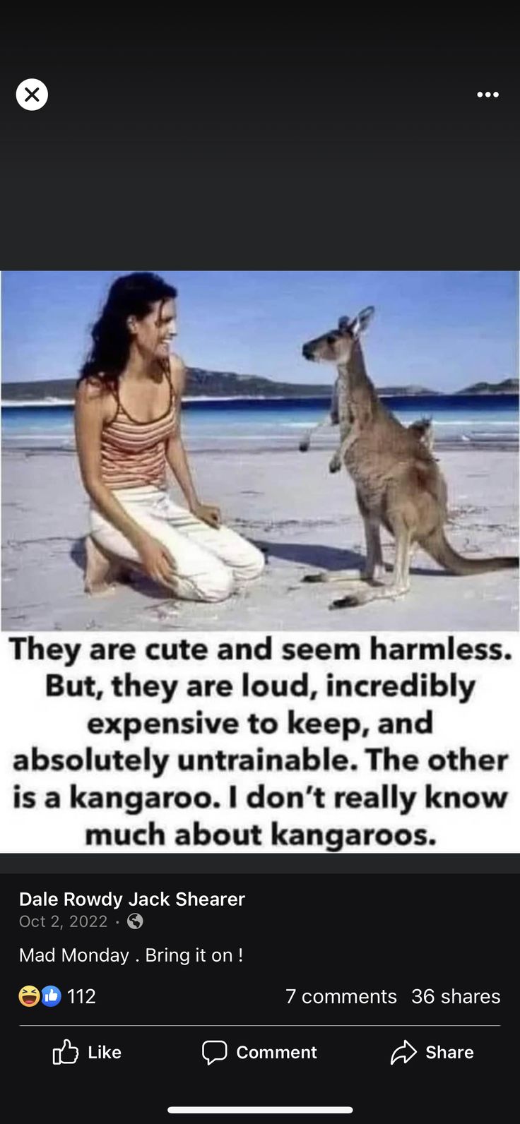 a woman sitting on the beach with a kangaroo next to her and an image of a kangaroo