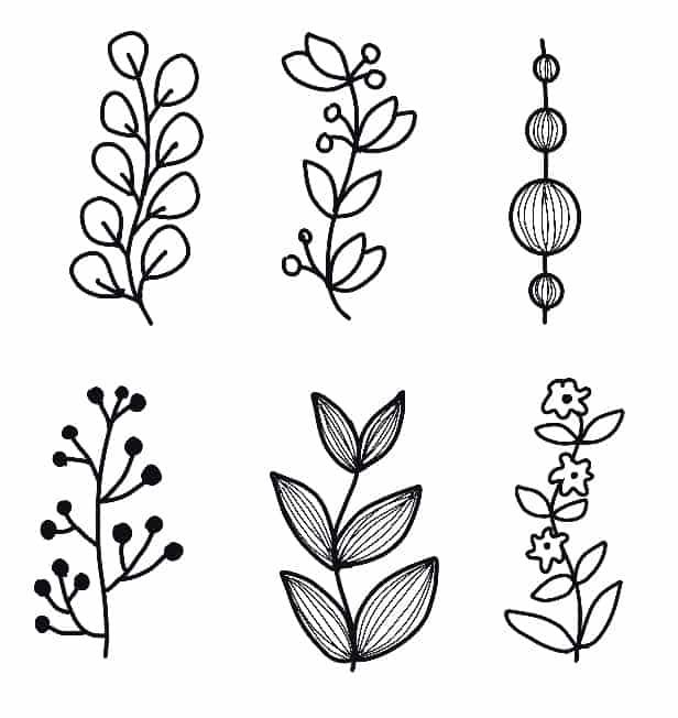 six different types of plants drawn by hand