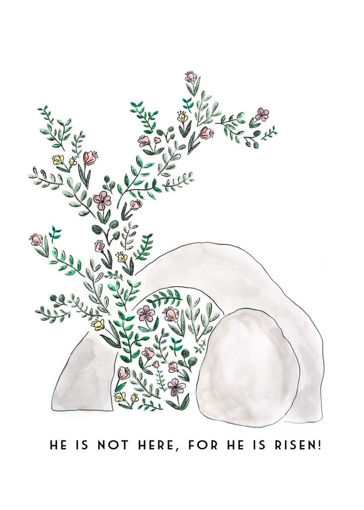 a watercolor and ink drawing of two rocks with plants growing out of them that says, he is not here, for he is risen