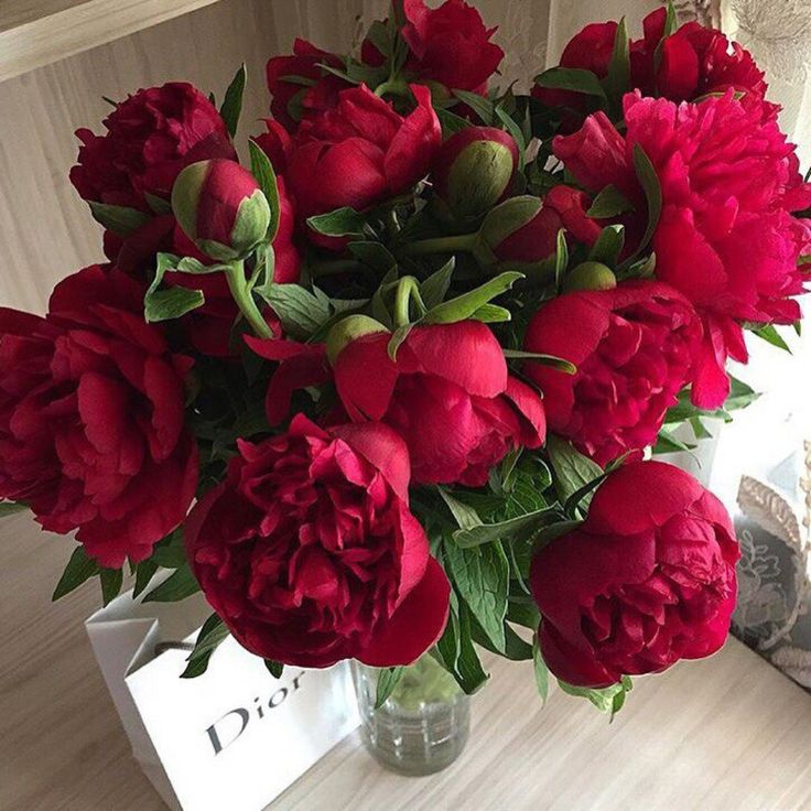 a vase filled with red flowers sitting on top of a table next to a book