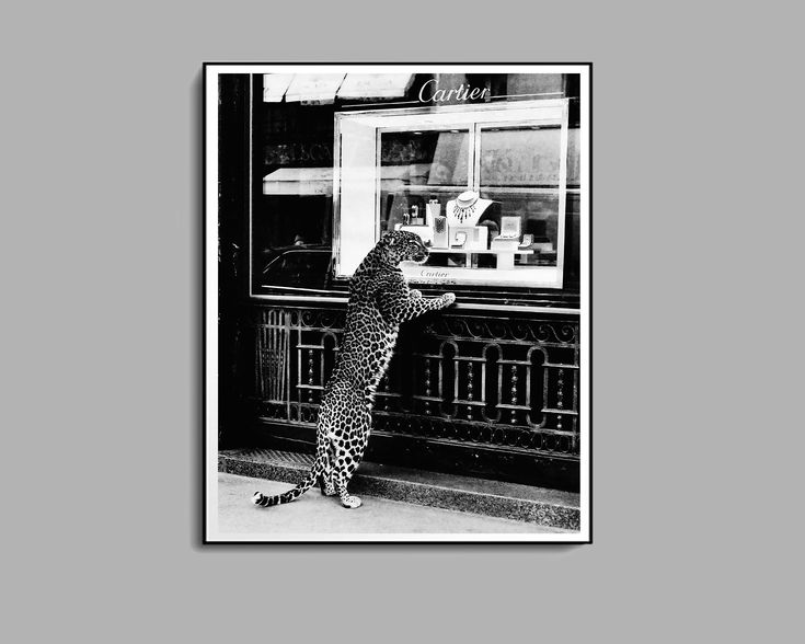 a black and white photo of a cat standing in front of a storefront window