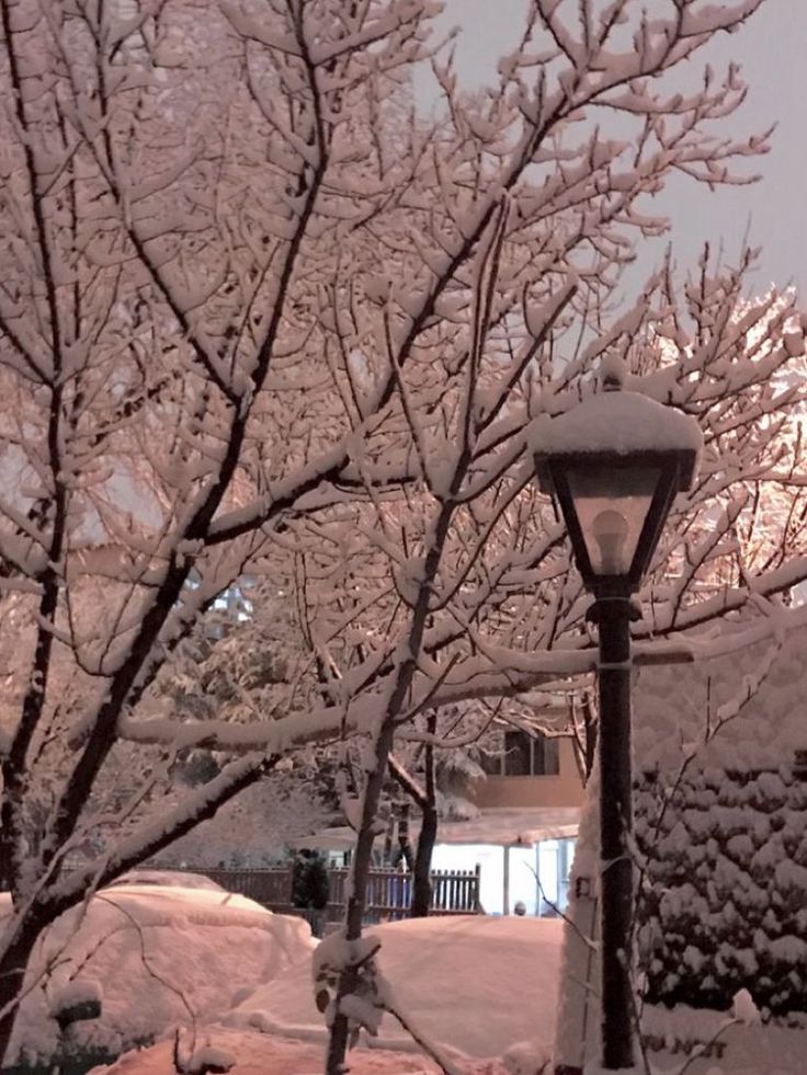 a street light covered in snow next to trees