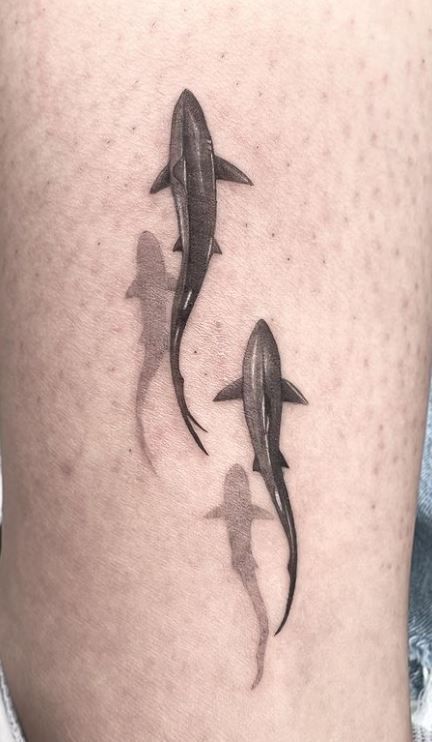 three dolphins swimming together on the thigh