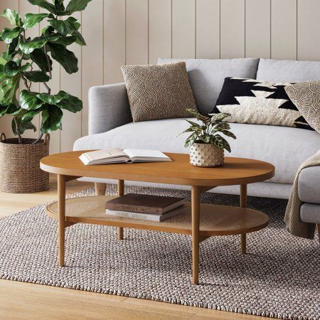 a living room with a couch, coffee table and potted plant in the corner