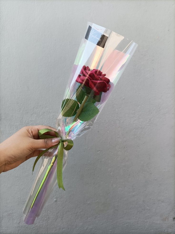 a person holding a bouquet of roses with green stems and red flowers in it's wrapper