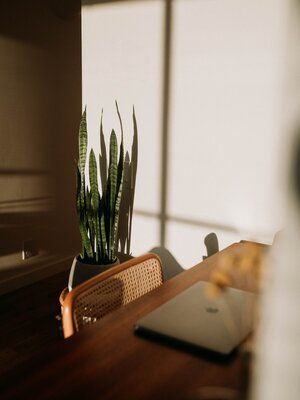 a laptop computer sitting on top of a wooden desk next to a potted plant