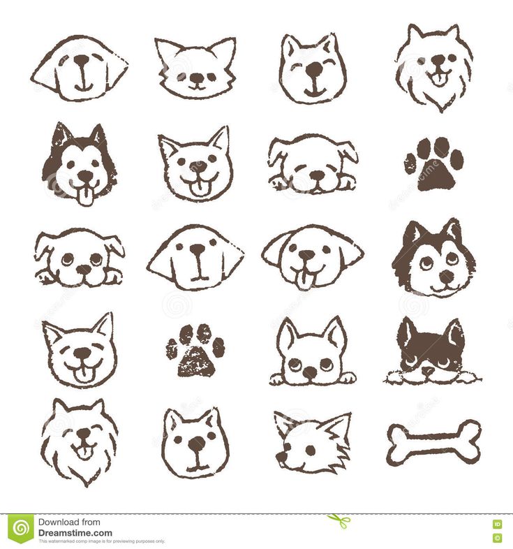 set of dog heads with different breeds and colors