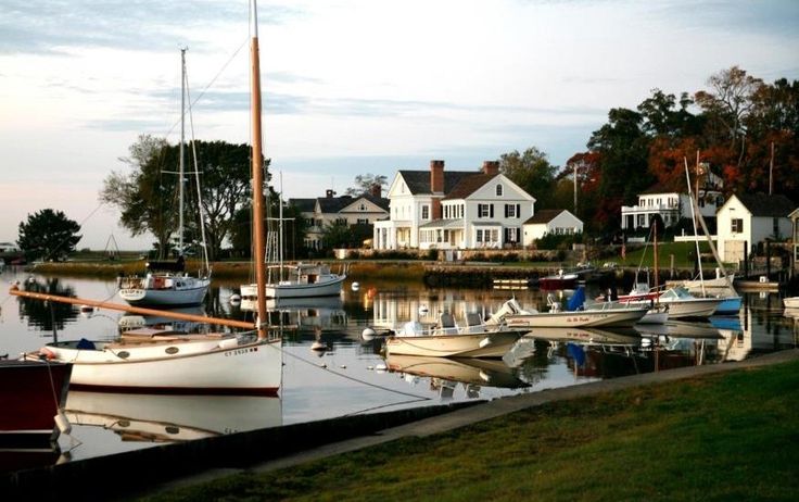 boats are docked in the water near houses