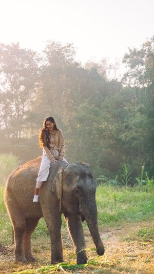 a woman sitting on top of an elephant in the grass with trees in the background