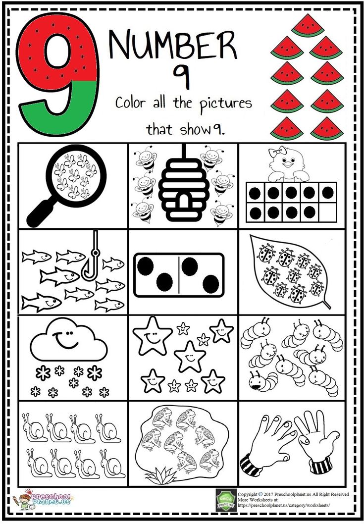 the number nine worksheet for preschool to teach numbers and counting with pictures that show them