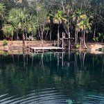 a body of water surrounded by trees and a dock