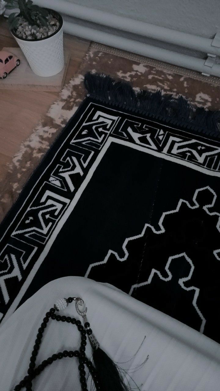 a black and white rug on the floor next to a potted plant