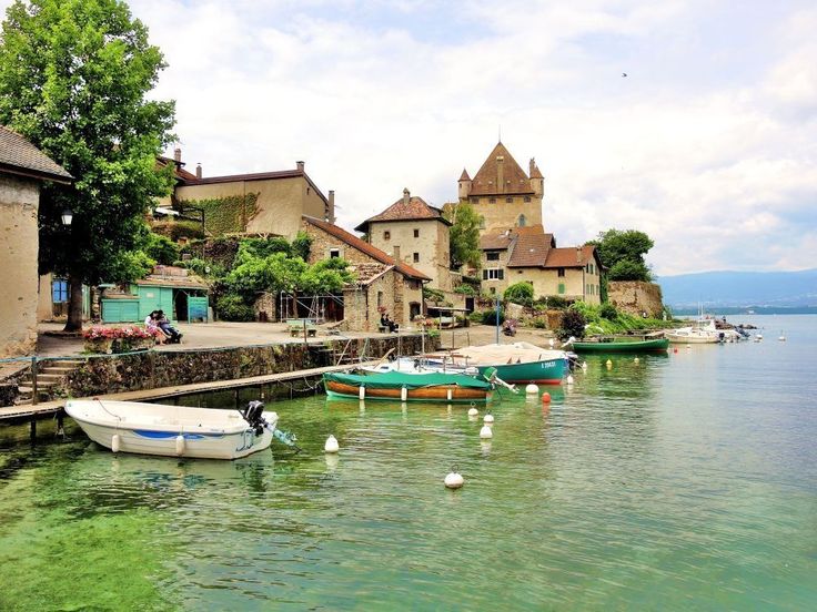 several boats are docked in the water next to some buildings and trees on the shore