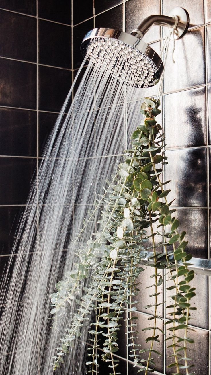 How To Make Your Shower Aesthetic, Wellness Home Aesthetic, Relaxing Shower Aesthetic, Shower Esthetics, Spa Bath Ideas, Relaxing Shower Ideas, Nordic Spa Aesthetic, Eucalyptus In Shower Bathroom, Morning Shower Aesthetic