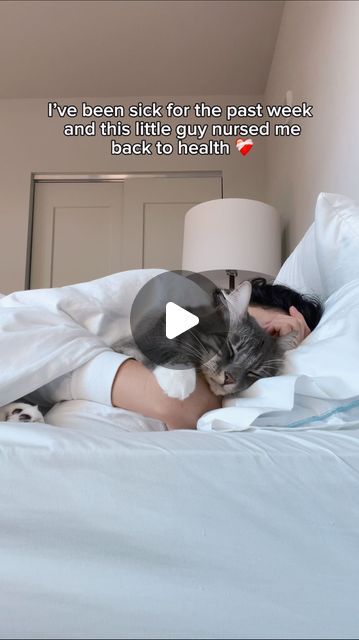 a woman laying in bed with a cat on her back and the caption reads, i have never seen cats at night