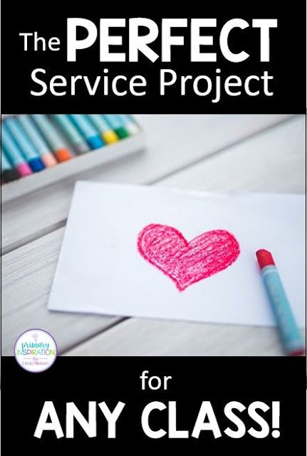 the perfect service project for any class